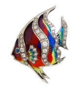angelfish600
