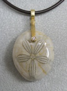 AS M57D S&S sanddollar