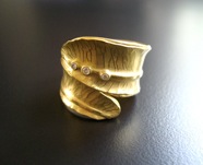 Feather_wrap_ring800