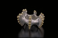 venus_ring