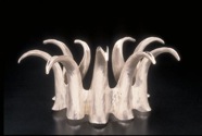 anemone_silver