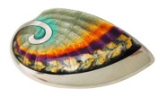 shell-pin600