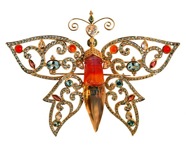 butterfly-color