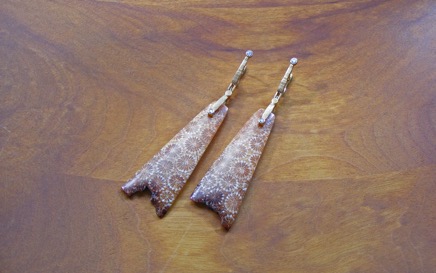 Fossil-coral-on-wood.jpg